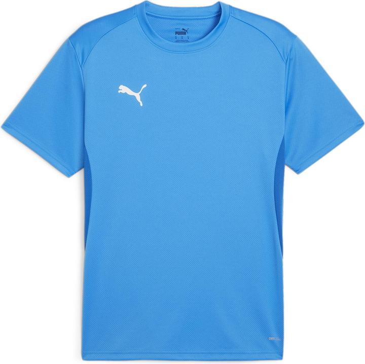 Puma teamGOAL Jersey