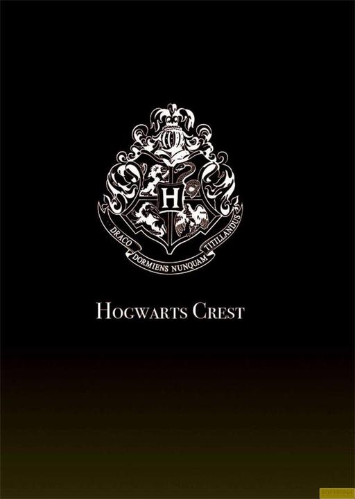 Actual product image Groovy Harry Potter projecteur Lumos Maxima