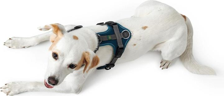 Produktbild Hunter Geschirr Maldon (M, Hund, Allgemein)