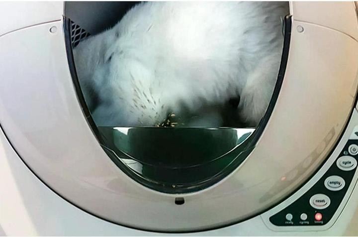 Image du produit Litter-Robot 3