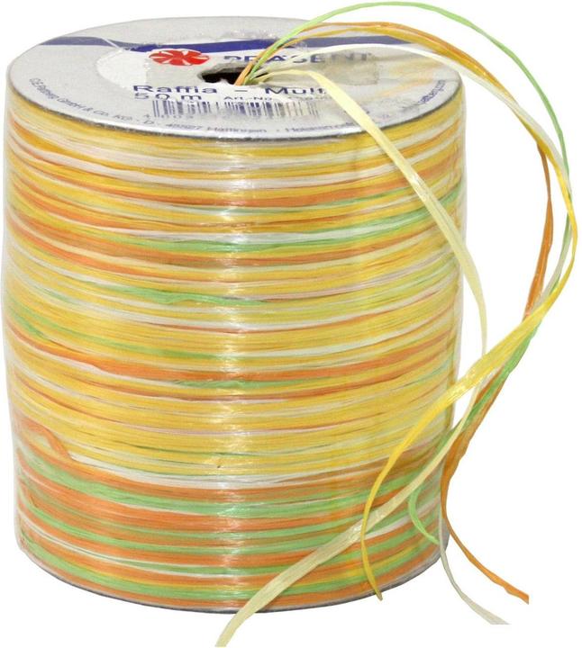 Präsent Bast Multi (Geschenkband, 1 x)