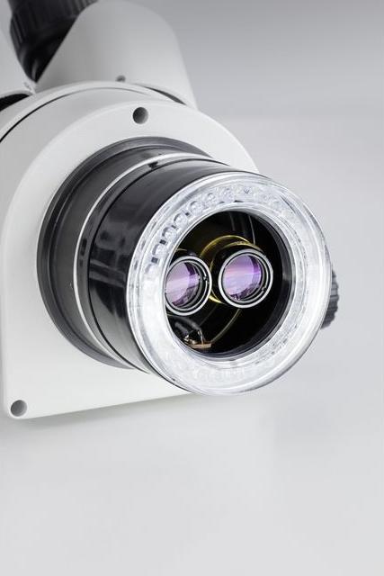 Produktbild Kern Binokular-Mikroskop, Vergrösserung 10X Beleuch