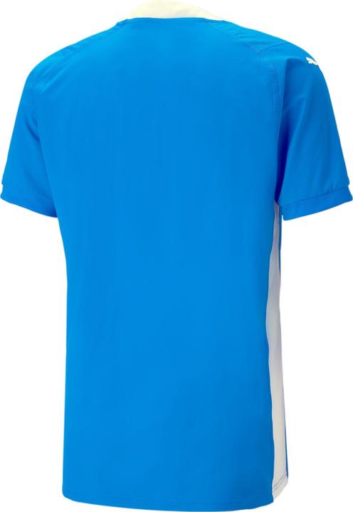 Actual product image Puma teamCUP Jersey (3XL)