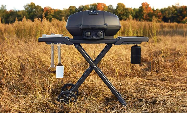 Actual product image Napoleon TravelQ Pro 285 X (4.10 kW)
