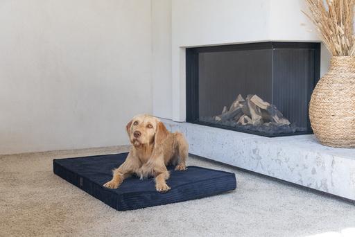 Actual product image Designed by Lotte Orthopaed cage cushion Ribbed (Dog)