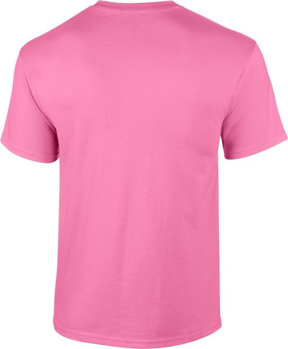 Actual product image Gildan Mens Ultra Cotton T-Shirt (L)