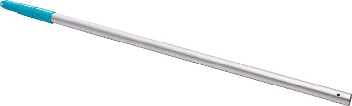 Intex Asta telescopica