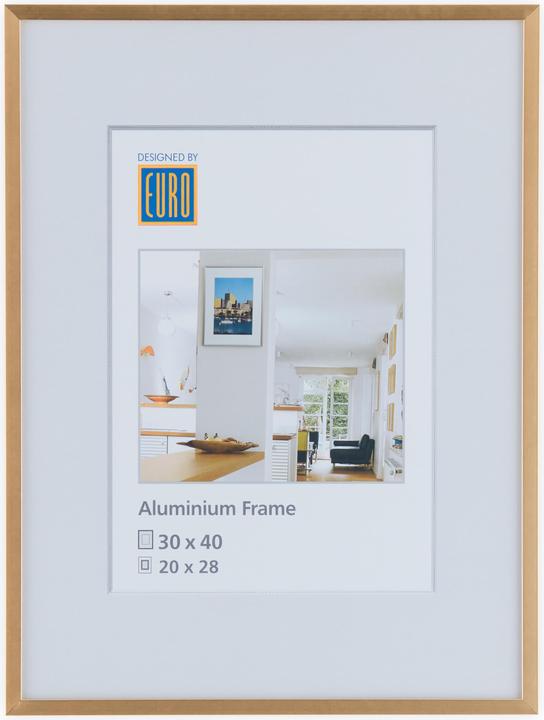 Immagine prodotto Euro Alurahmen AL1 (30 x 40 cm)