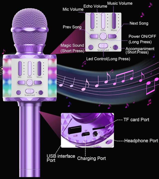 Immagine prodotto MicQutr Karaoke Mikrofon