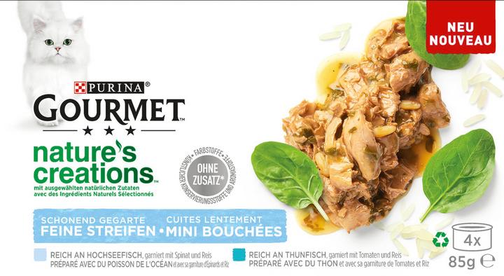 Actual product image Gourmet Nature's Creation (Adult, 1 pcs., 340 g)