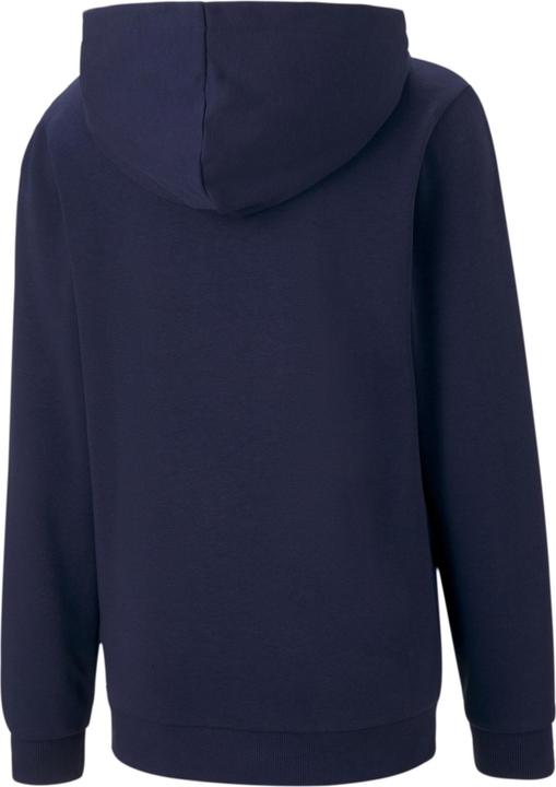 Image du produit Puma teamGOAL 23 Casuals Hoody Jr-656711 (128)