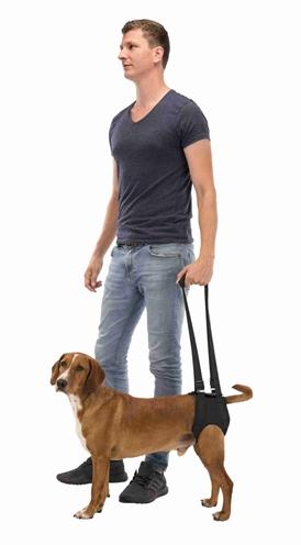 Immagine prodotto Trixie Aiuto per camminare (Cane)