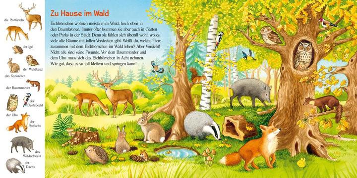 Actual product image Take good care of the little squirrel (German)