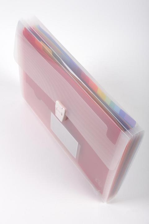 Actual product image Exacompta Crystal folder with handle (A4, 1 x)