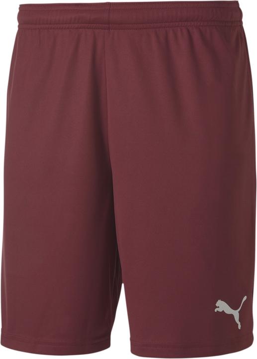 Actual product image Puma teamGOAL 23 knit shorts-704262 (XL)