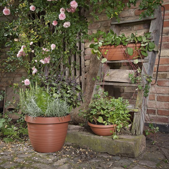 Produktbild Scheurich Country Star (24.10 cm)