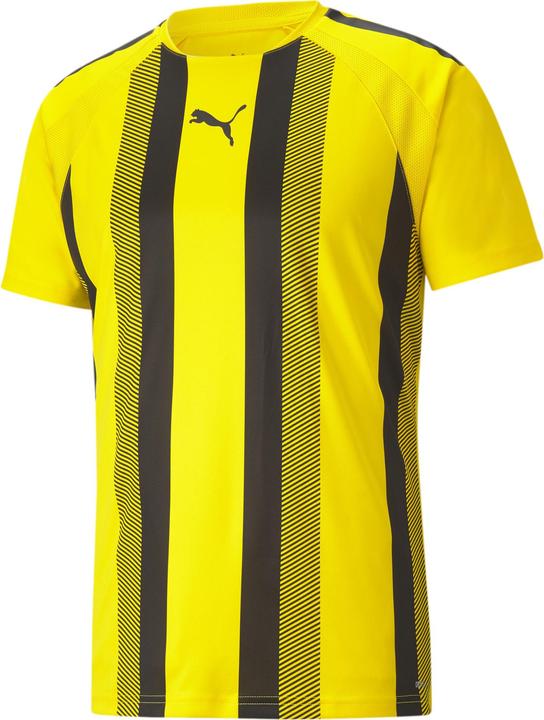 Actual product image Puma Team Liga Striped (XS)