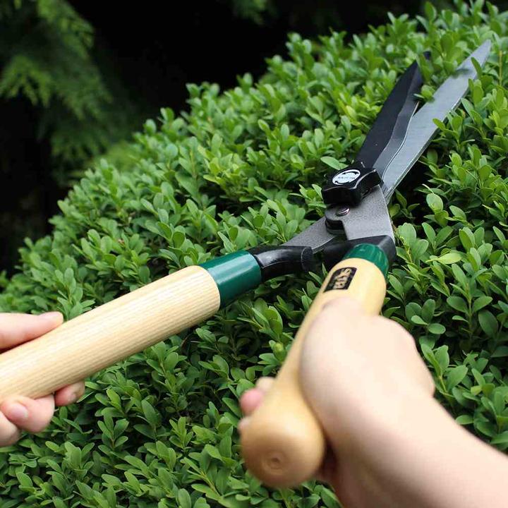 Immagine prodotto Siena Garden Tagliasiepi con taglio dell'albero (Tosasiepi)
