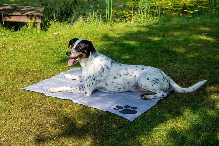Actual product image Dobar Cooling mat with black paws 99.5 x 70 cm grey (Dog)