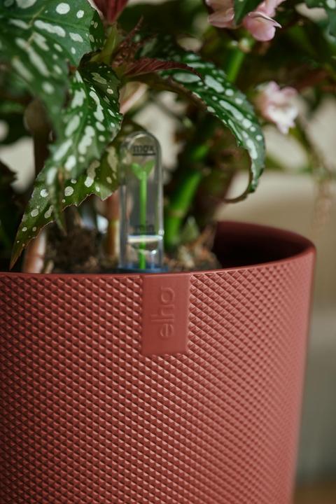 Actual product image Elho Jazz Rund (26 cm)