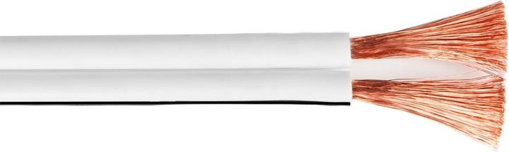 Produktbild Teufel C4530S (30 m, 4 mm²)