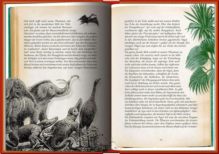 Immagine prodotto Reise zum Mittelpunkt der Erde (Tedesco, Jules Verne, Volker Dehs, Beate Kahramanlar, 2023)