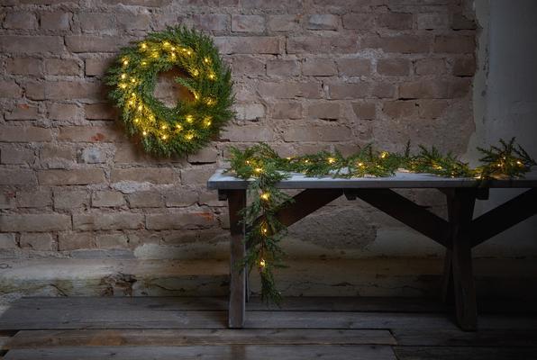 Produktbild Star Trading Thuja