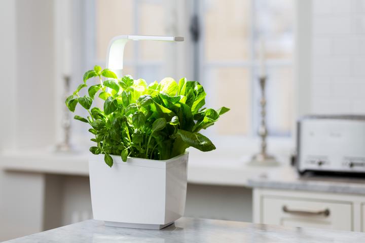 Image du produit Tregren Pot à herbes T3 (19.50 cm)