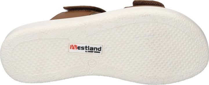 Image du produit Westland 25403-409 (38)