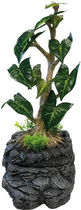 Repto Plant dripping tree