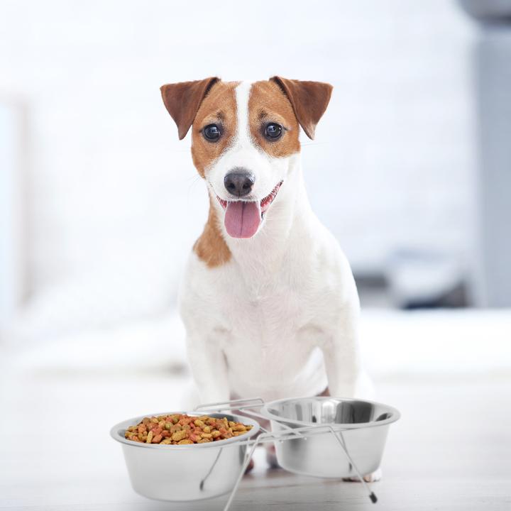 Immagine prodotto Relaxdays Ciotola per cani set doppio (0.40 l)