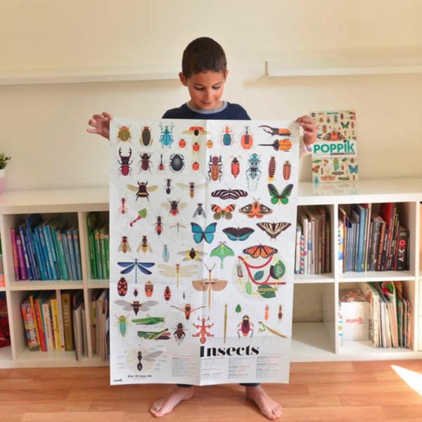 Actual product image Poppik Sticker Learning Poster Insects