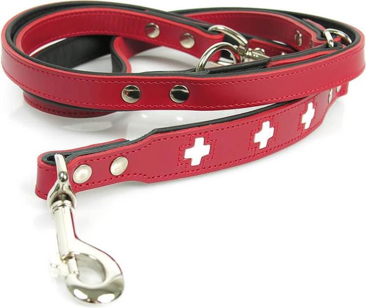 Actual product image Hunter Adjustable leash Swiss genuine leather (13, Dog, General)