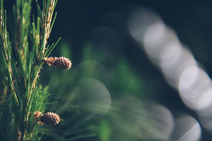 Immagine prodotto Lensbaby Pacchetto di espansione del filtro creativo OMNI