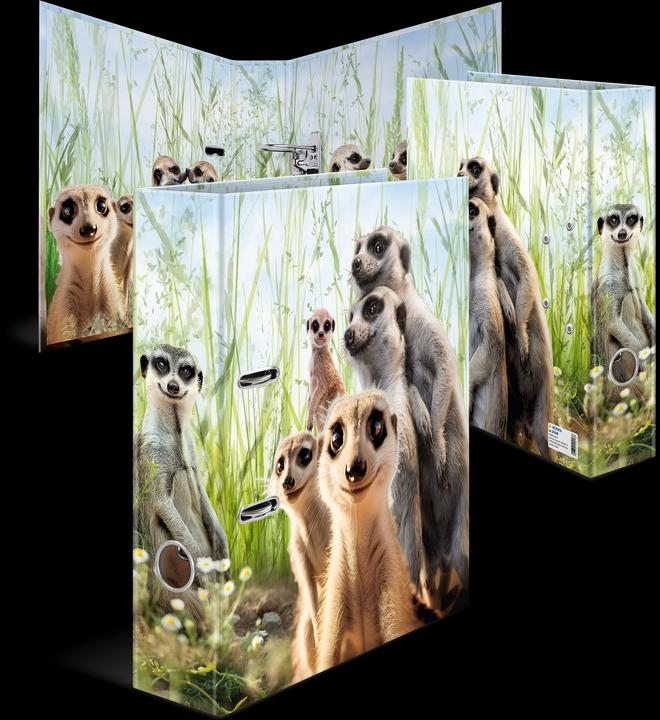 Herma Suricate (A4, 70 mm, 1 pièce(s))