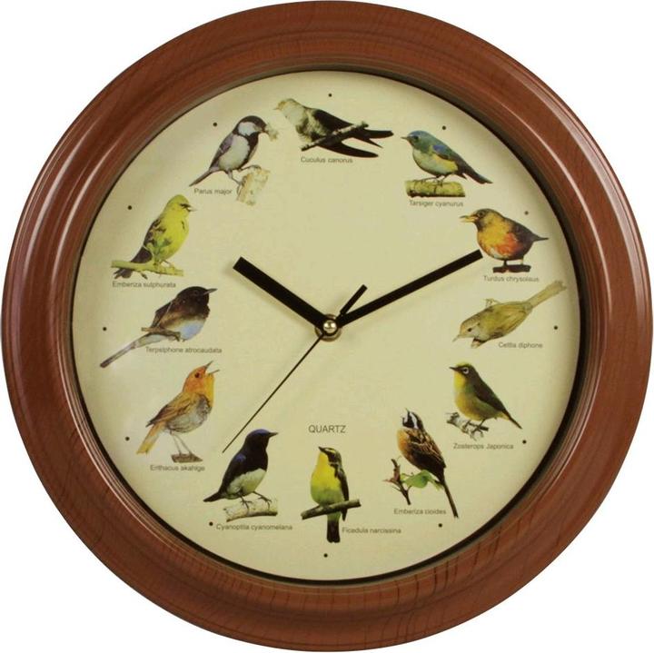 Immagine prodotto Safe Orologio da parete con richiamo per uccelli (25 cm)