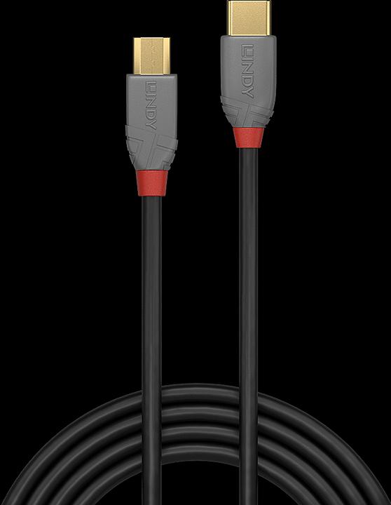 Produktbild Lindy Anthra Line (0.50 m, USB 2.0)