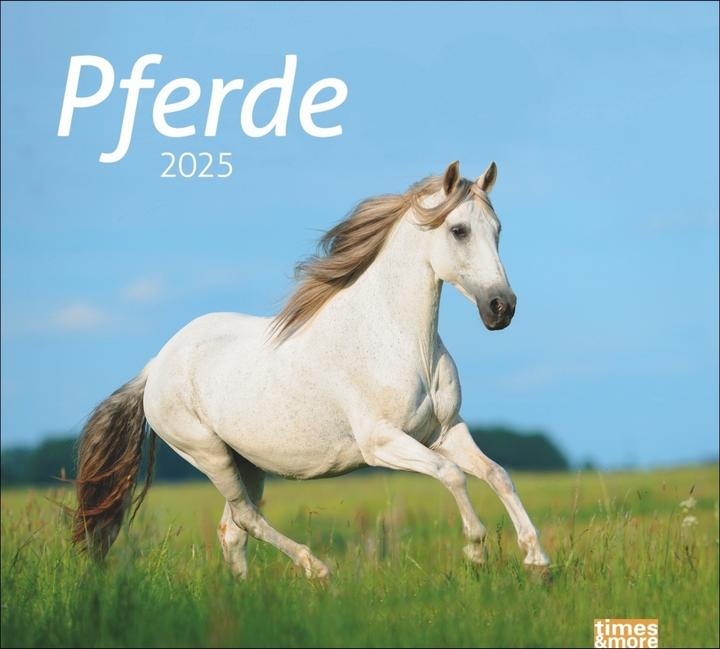 Actual product image Horse picture calendar 2024. animal calendar for horse lovers. Calendar with spectacular photos of (Hardcover, German)