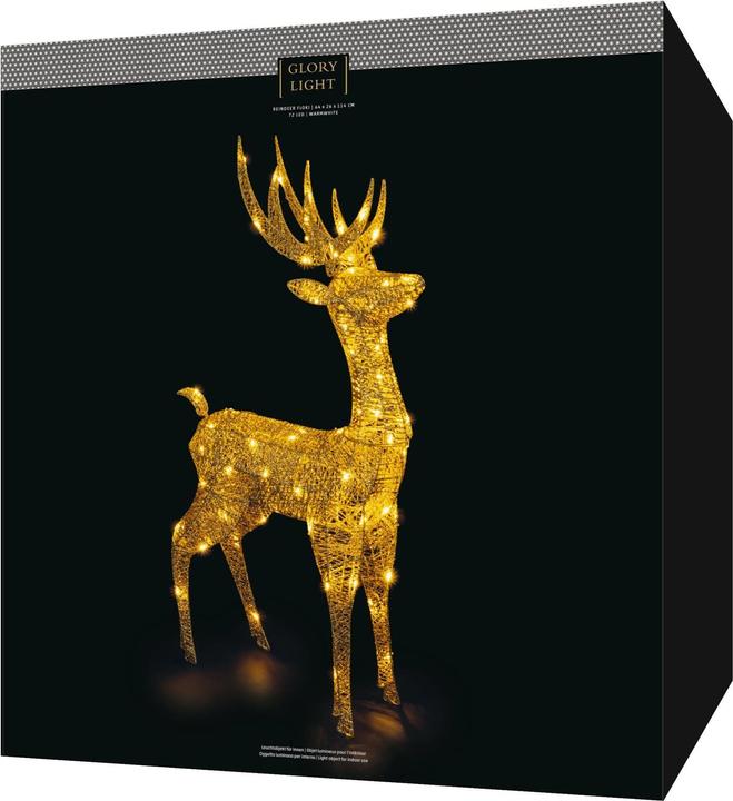 Actual product image STT Floki