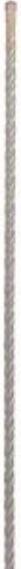 Actual product image Bosch Professional Zubehör Carbide hammer drill 5 mm A (5 mm)