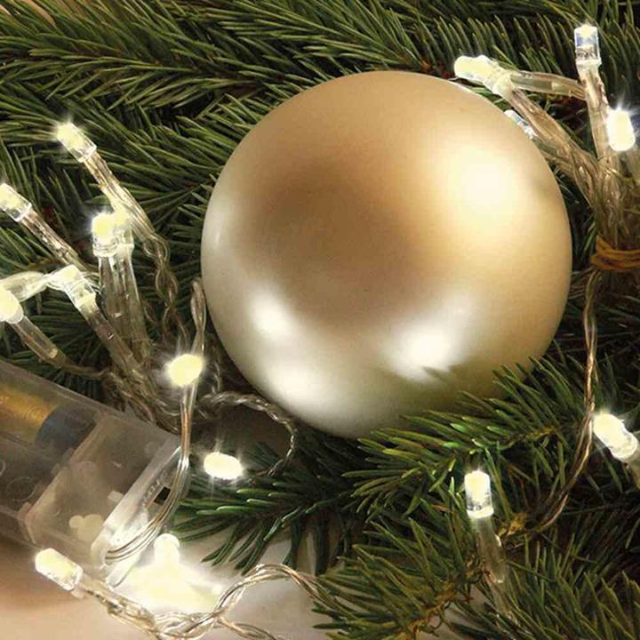 Image du produit FHS Micro-chaîne LED (0.90 m)