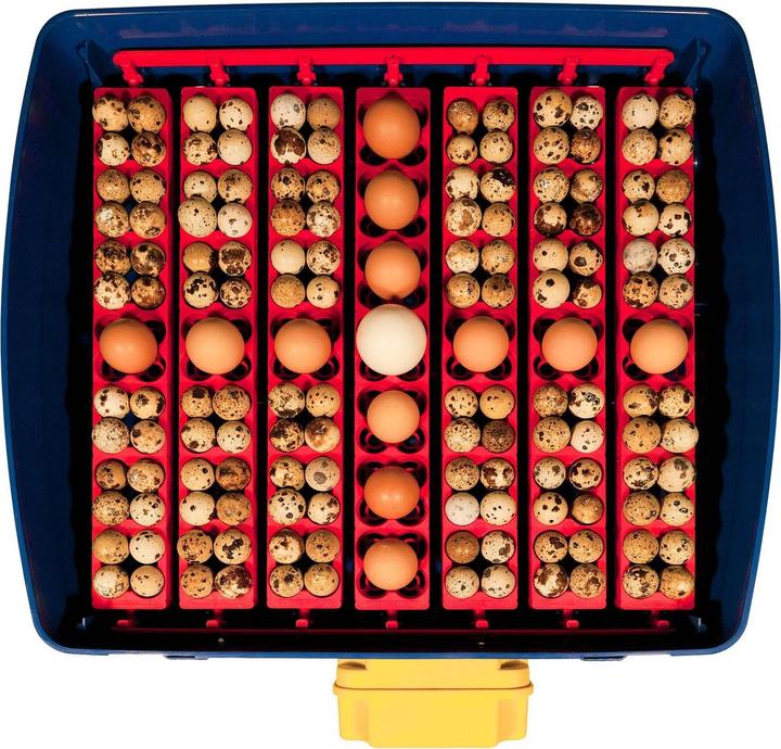 Image du produit APS Couveuse à oeufs entièrement automatique - 49 oeufs