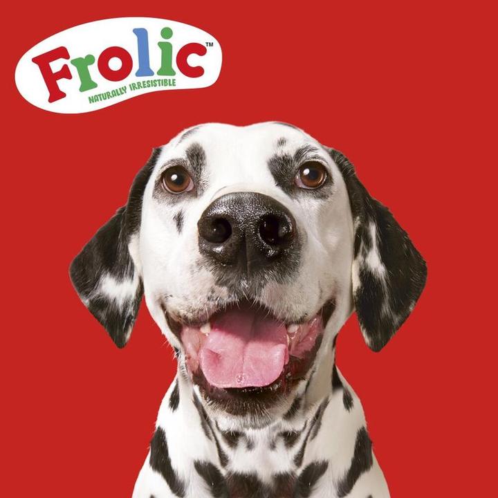 Image du produit Frolic 100% Complet (Adulte, Junior, Senior, 1 pcs, 1500 g)