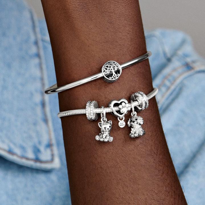 Image du produit Pandora Charm Hommage Familial (Argent)