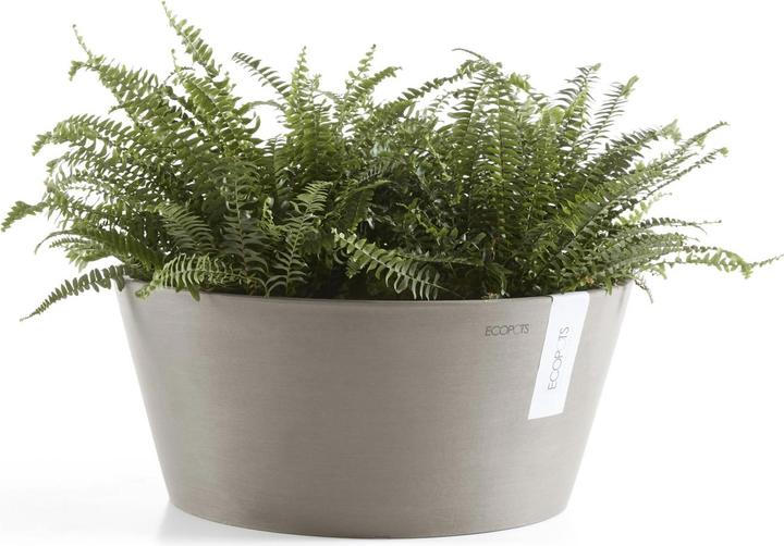 Actual product image Ecopots Frankfurt (30 cm)