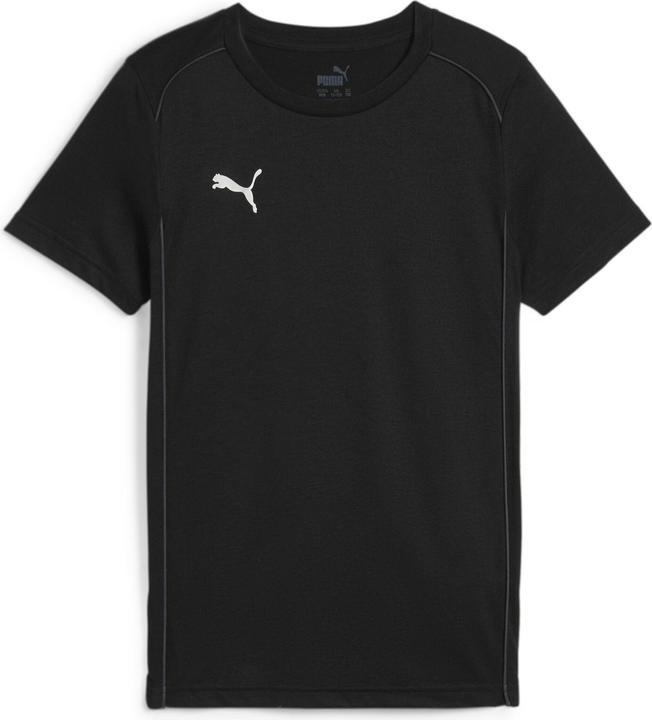 pumablackpumasilver