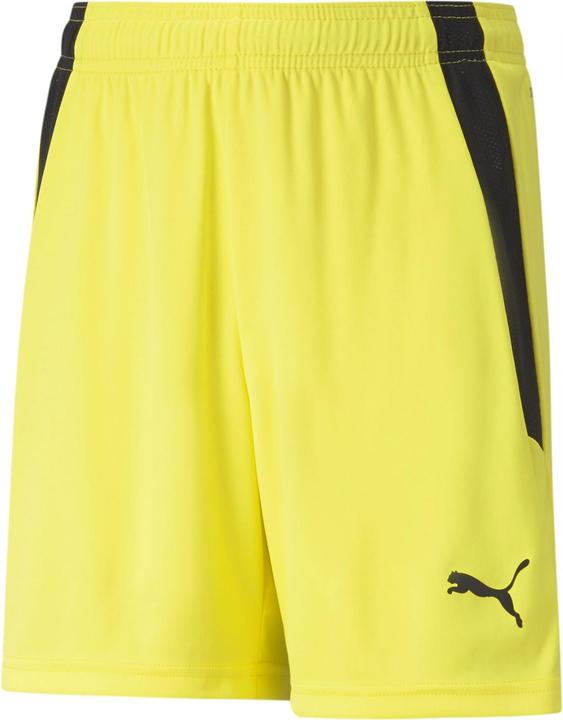 Image du produit Puma short teamLIGA Jr-704931 (164)