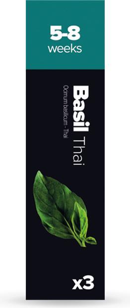Plantui Basilico thailandese (Semi di erbe)