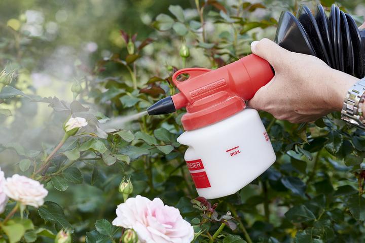Image du produit Birchmeier Bobby 0,5 (0.50 l)