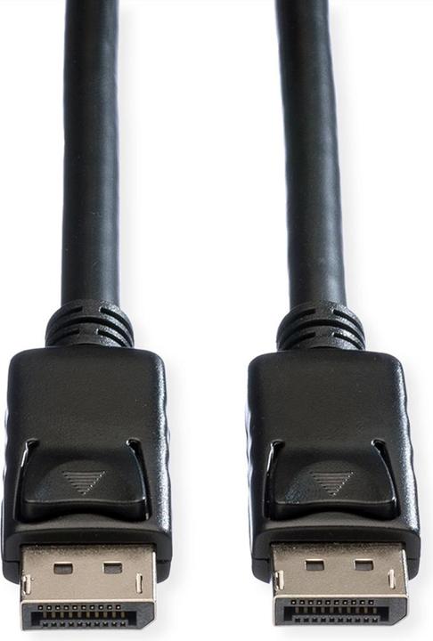 Immagine prodotto Roline DisplayPort — DisplayPort (2 m, DisplayPort)